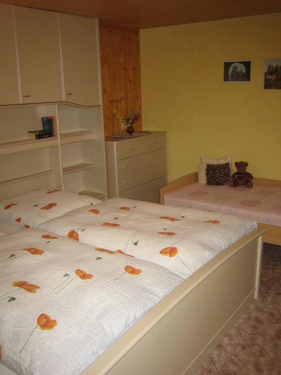 Apartment Schlafwandler Steinigtwolmsdorf Pokój zdjęcie