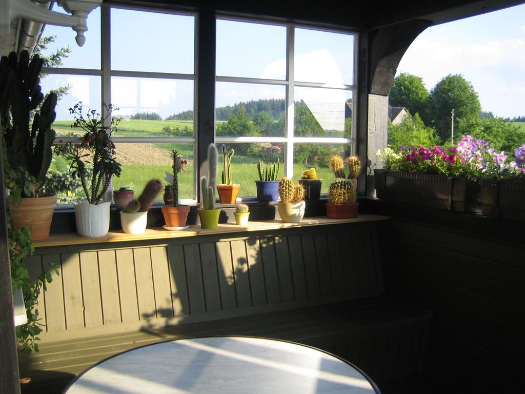 Apartment Schlafwandler Steinigtwolmsdorf Zewnętrze zdjęcie